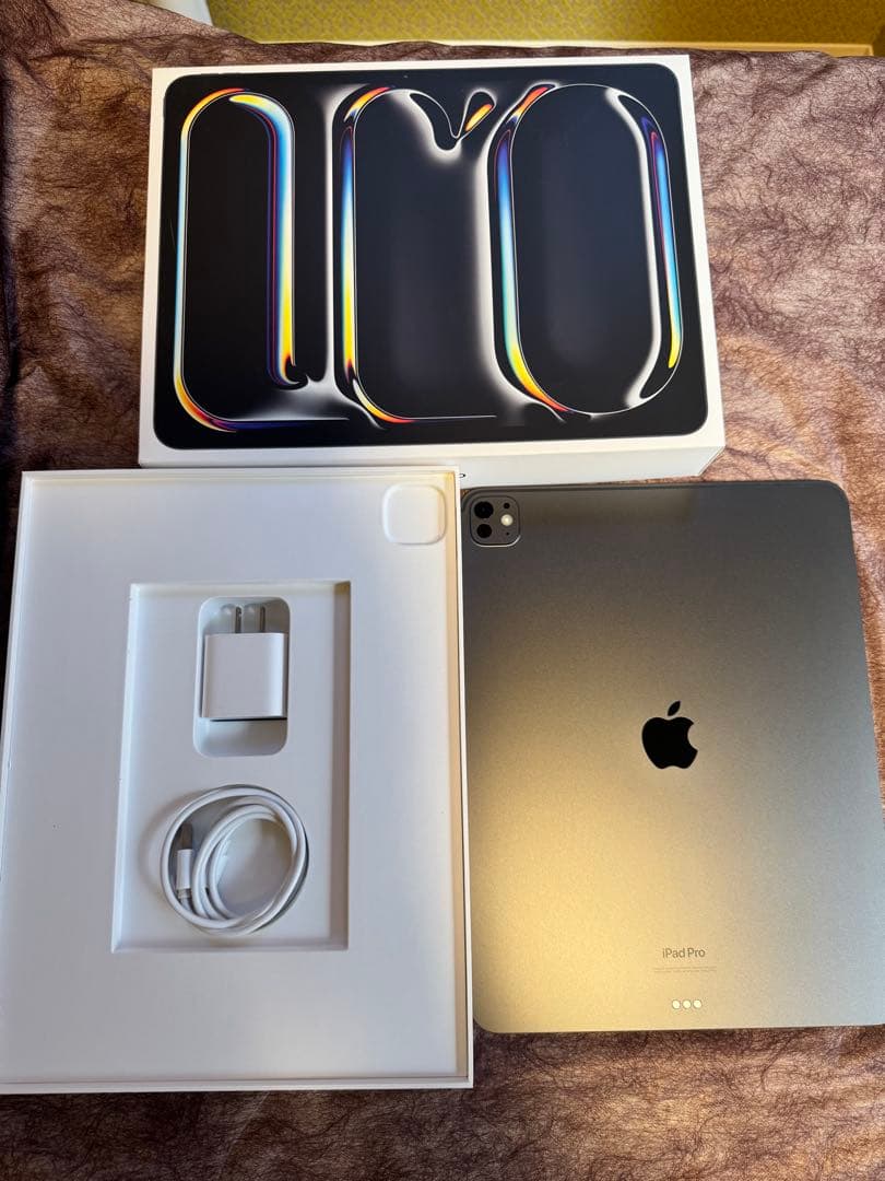 美品　Apple iPad Pro (M4) 13インチ256GB Wi-Fi