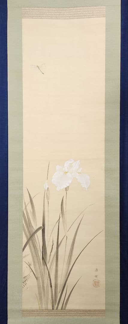【花菖蒲にトンボ図】井上達雄 通世 2632 トンボ 掛け軸　肉筆
