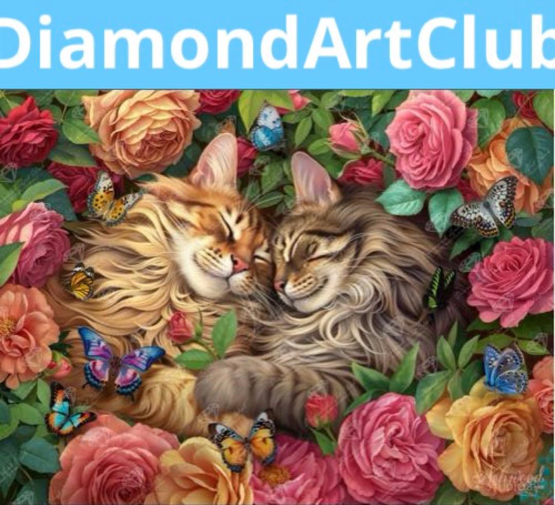 Meguさん★専用です ダイヤモンドアートクラブ