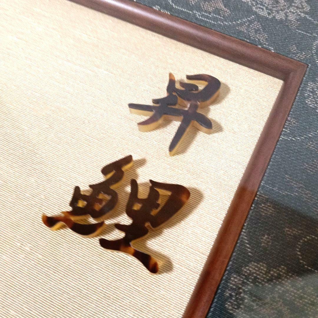 大型額装 希少 本鼈甲 昇鯉 金彩 金箔 赤甲 白甲