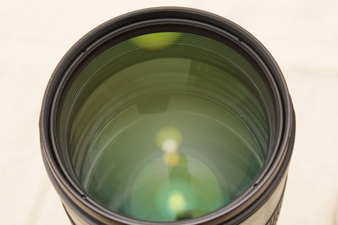 棘 (トゲ) Canon EF 70-200mm 1:2.8 L