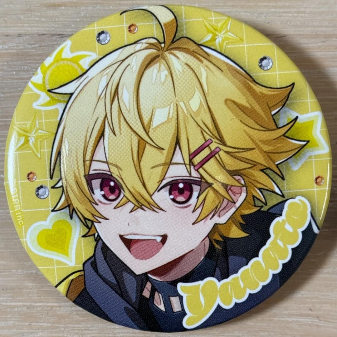 やなと 1st Step- ver. すにすて 缶バッジ 9点