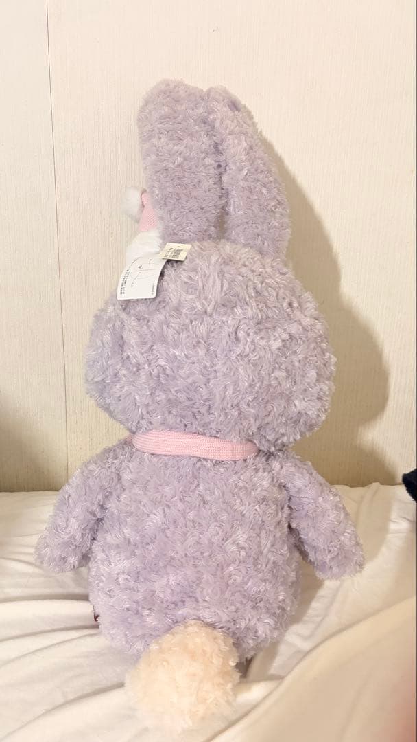 ディズニー/ステラ・ルー/ダッフィー＆フレンズのウィンターホリデーぬいぐるみ