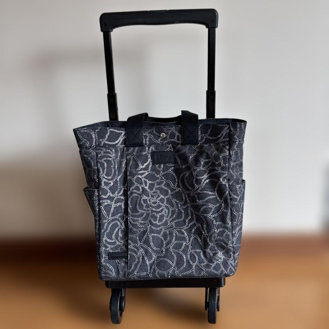 【美品】SWANY　キャリーバッグ　ショッピングカート