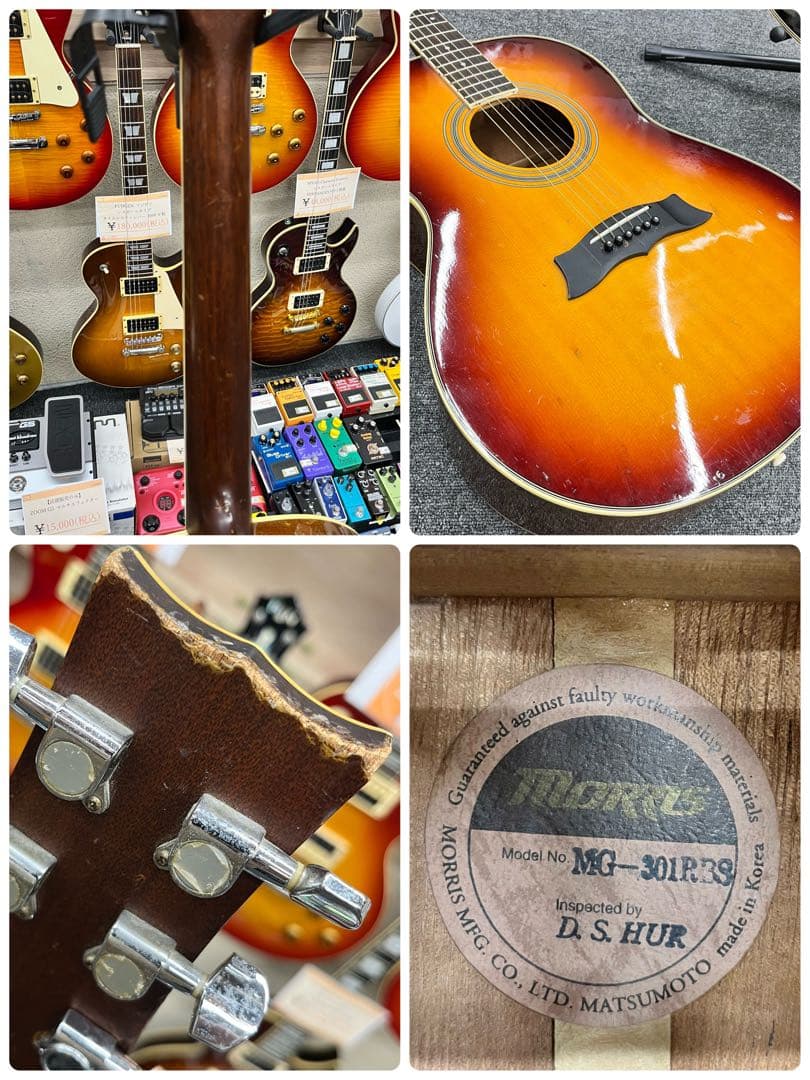 【11562】Morris アコースティックギター
