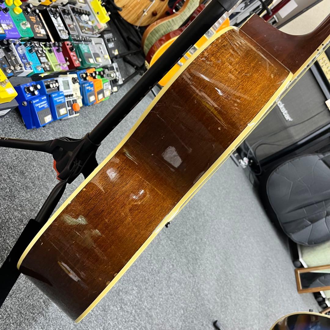 【11562】Morris アコースティックギター