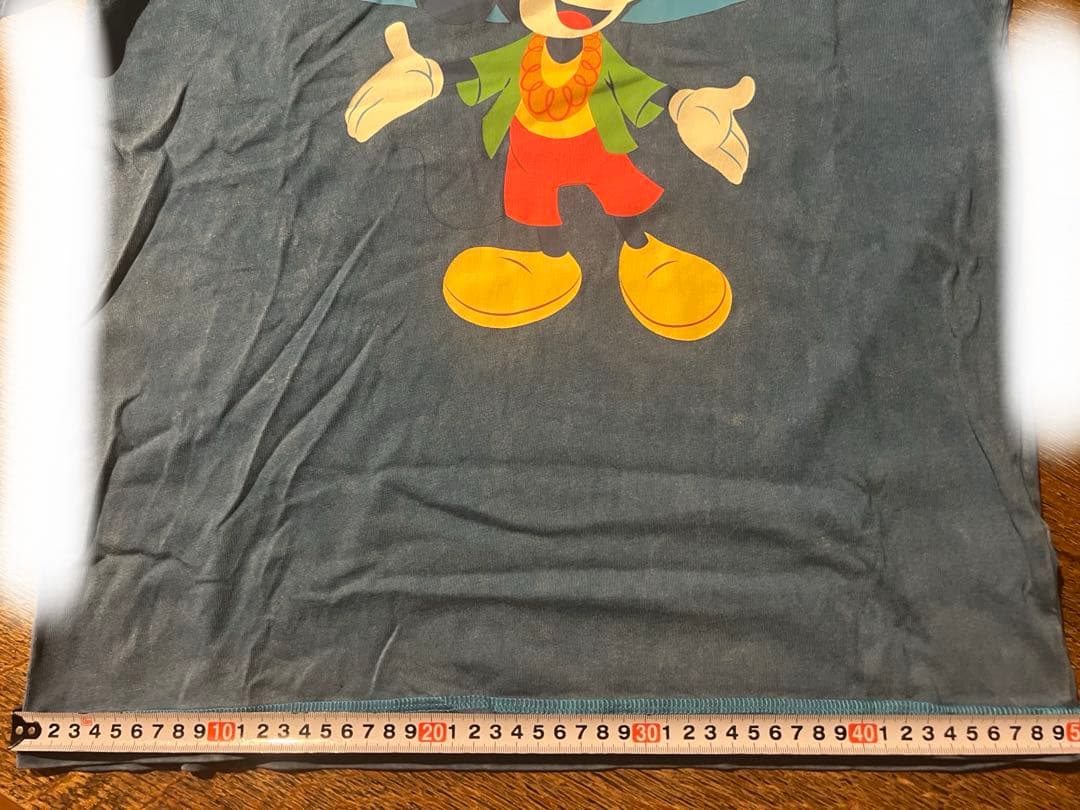 アウラニ　限定　パーカー　ハワイ　ディズニー　ホノルル　ミッキー　ミニー　レア