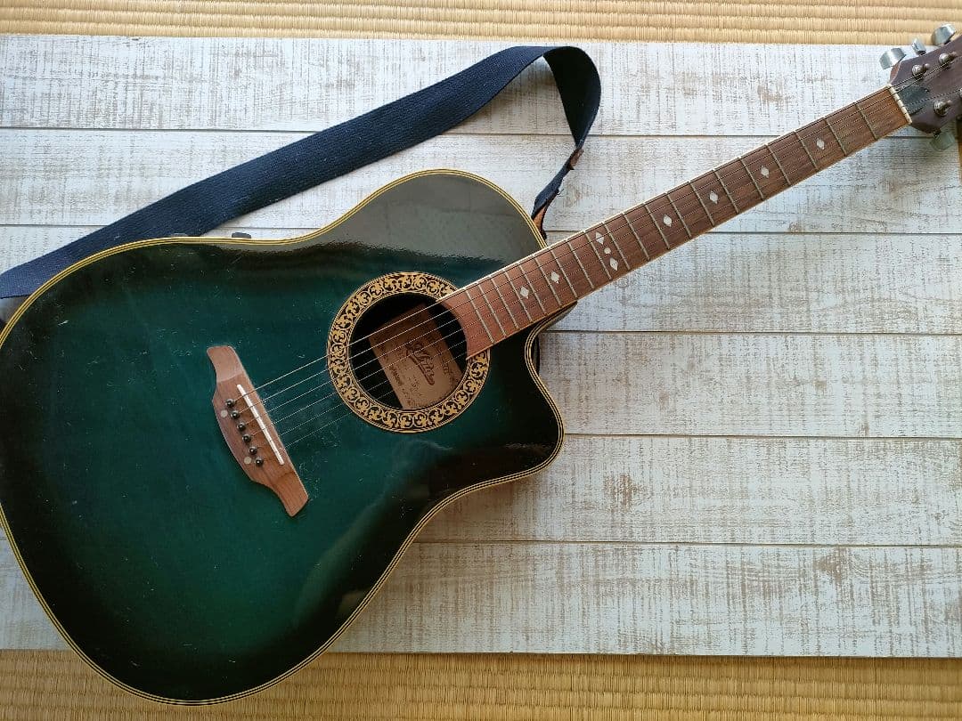 ARIA アコースティックギター F-130 グリーン