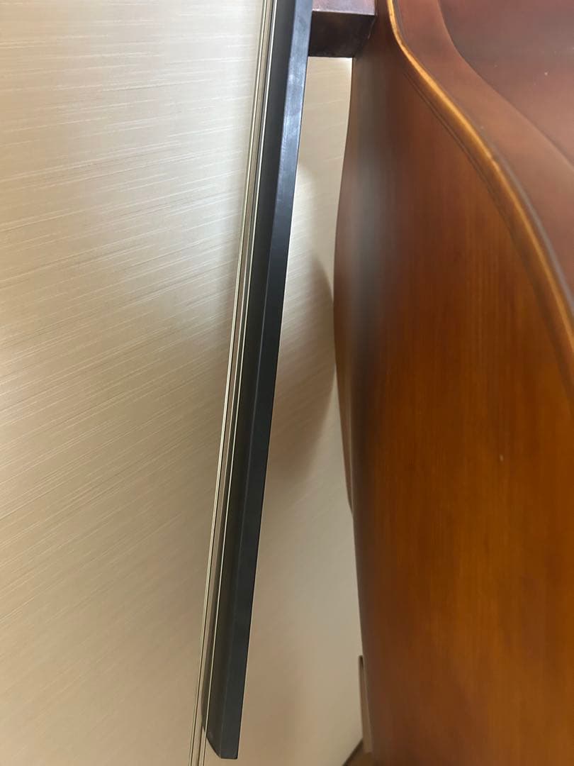 【関西での手渡し】ハルシュタット コントラバス WBS-800