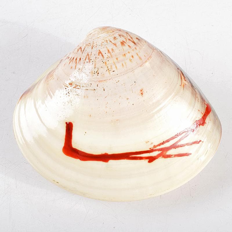 茶道具　宗廣工房　道場宗廣作　蛤香合　堀内宗完(兼中斎)極め箱　M　R9307