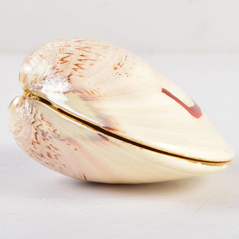 茶道具　宗廣工房　道場宗廣作　蛤香合　堀内宗完(兼中斎)極め箱　M　R9307