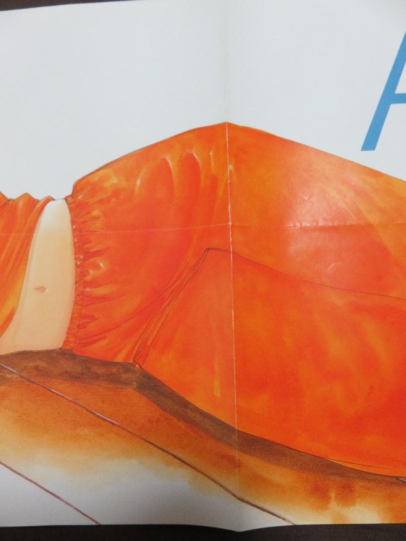 サイバーフォーミュラ アニメディア付録ポスター