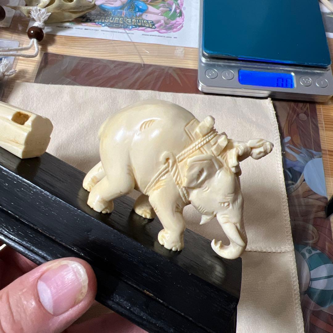 天然素材 置物 極上200g 鯨の歯風、抹香鯨風、歯類、