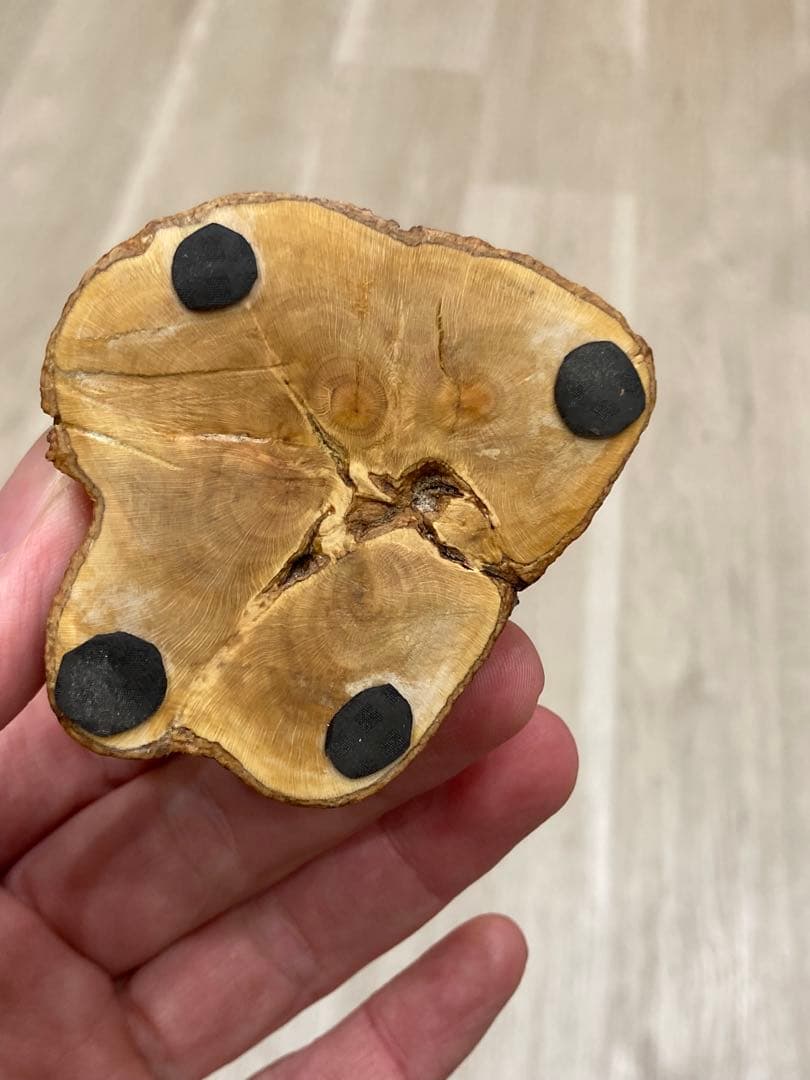 ハナミズキのペン立て　2個セット