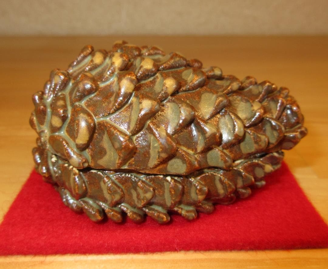 送料込【逢絢亭】茶道具 香合 美濃焼 松毬香合 柴田好寛 共箱入り