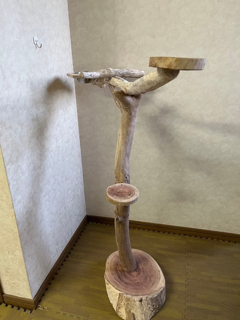 tarog13！大型インコオウム止まり木オウムスタンドパーチ