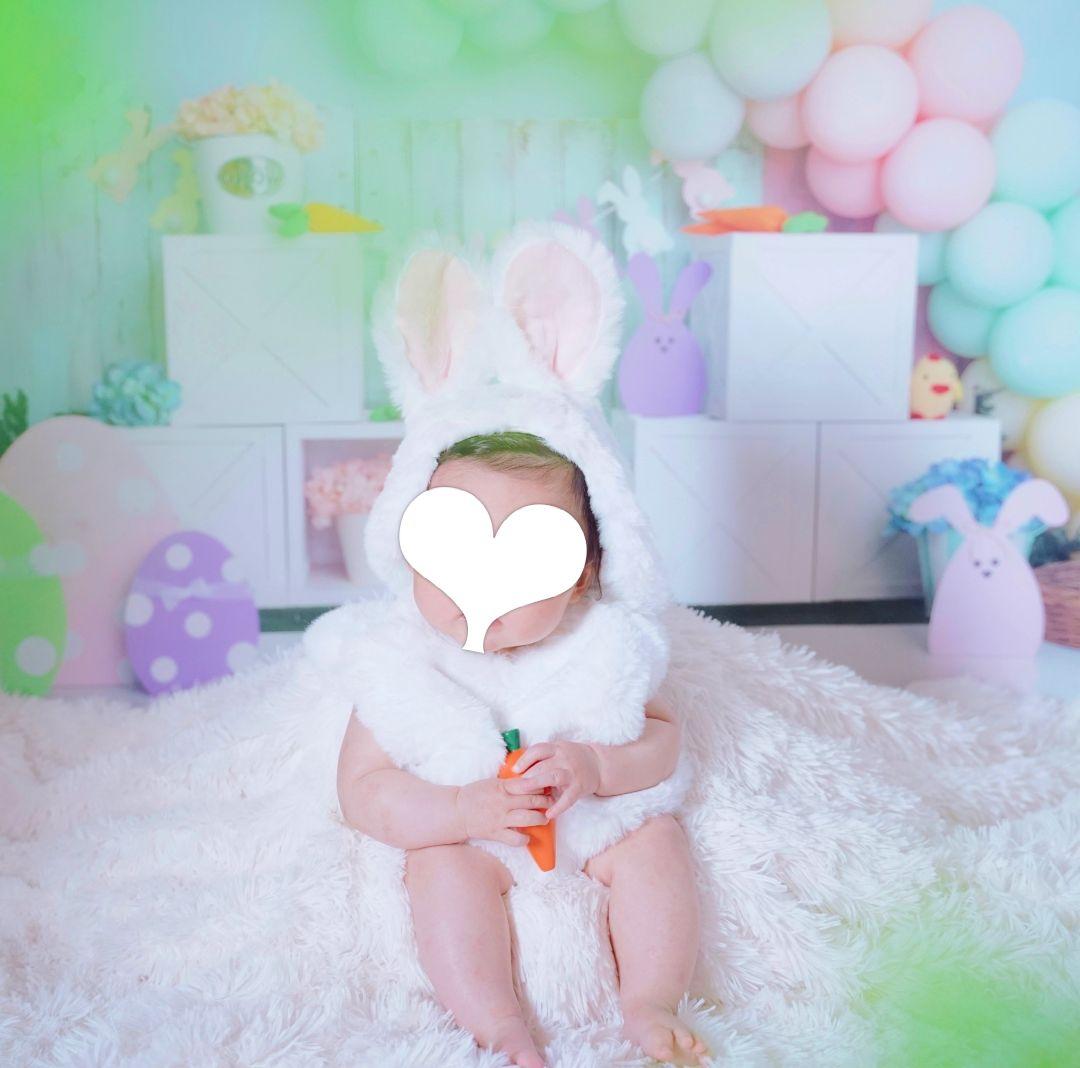 業務用　トリミングチョーカー　バレンタインリボン　苺　いちご　背景布　セット