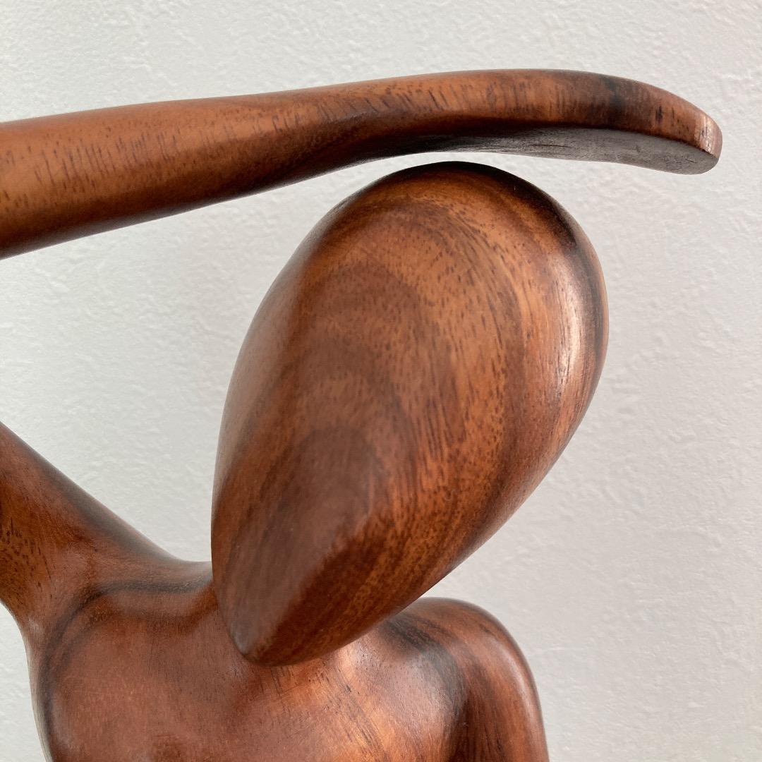 NOVICAとNational Geographic 木製彫刻 インドネシア製