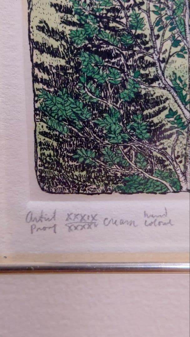 スーザン・ハント・ウォルコッツ　銅版画　JUNE