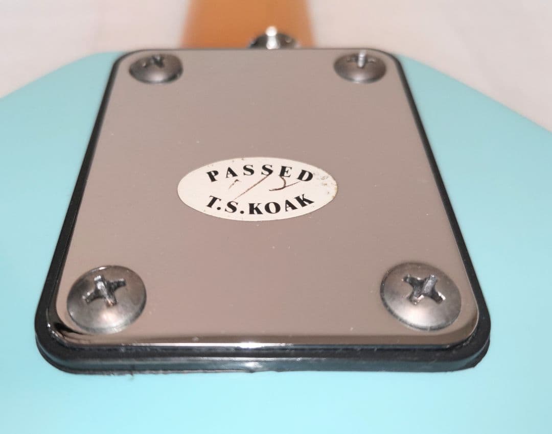 VOX APACHE-1 スピーカー・リズムボックス機能内蔵ギター 美品