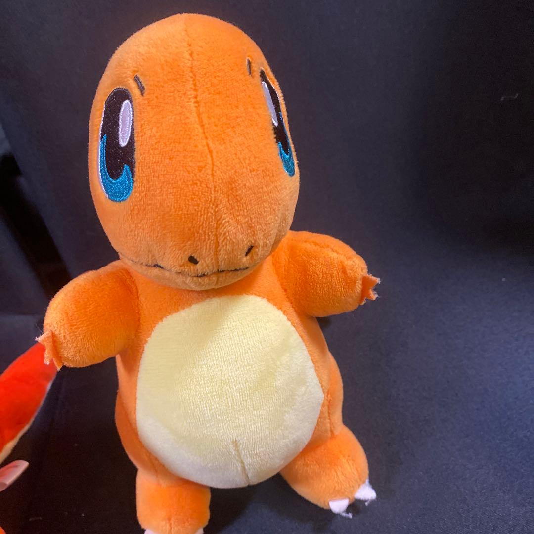 ヒトカゲ リザード リザードン ポケモンセンター ぬいぐるみ