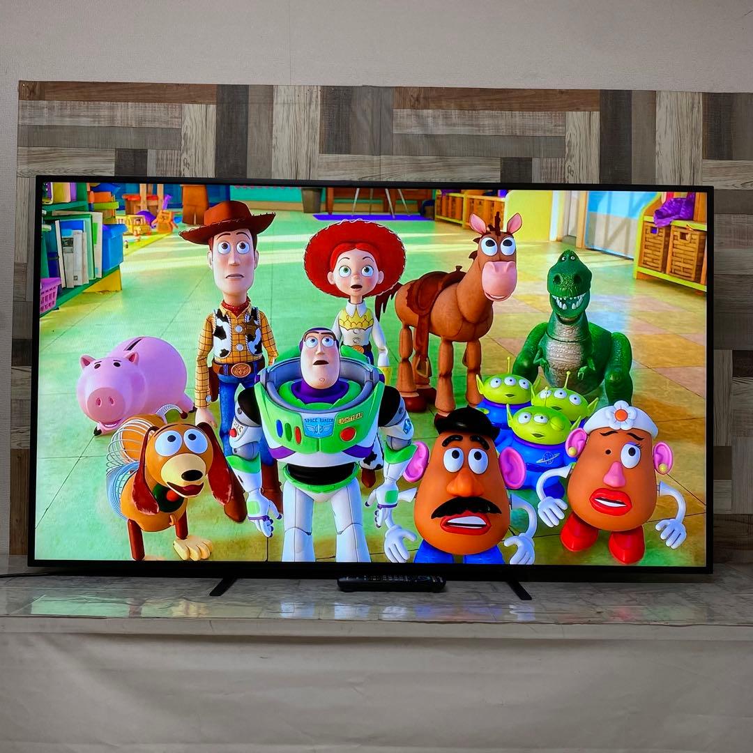 即日受渡❣️全国送料込パナソニック65型液晶モニター