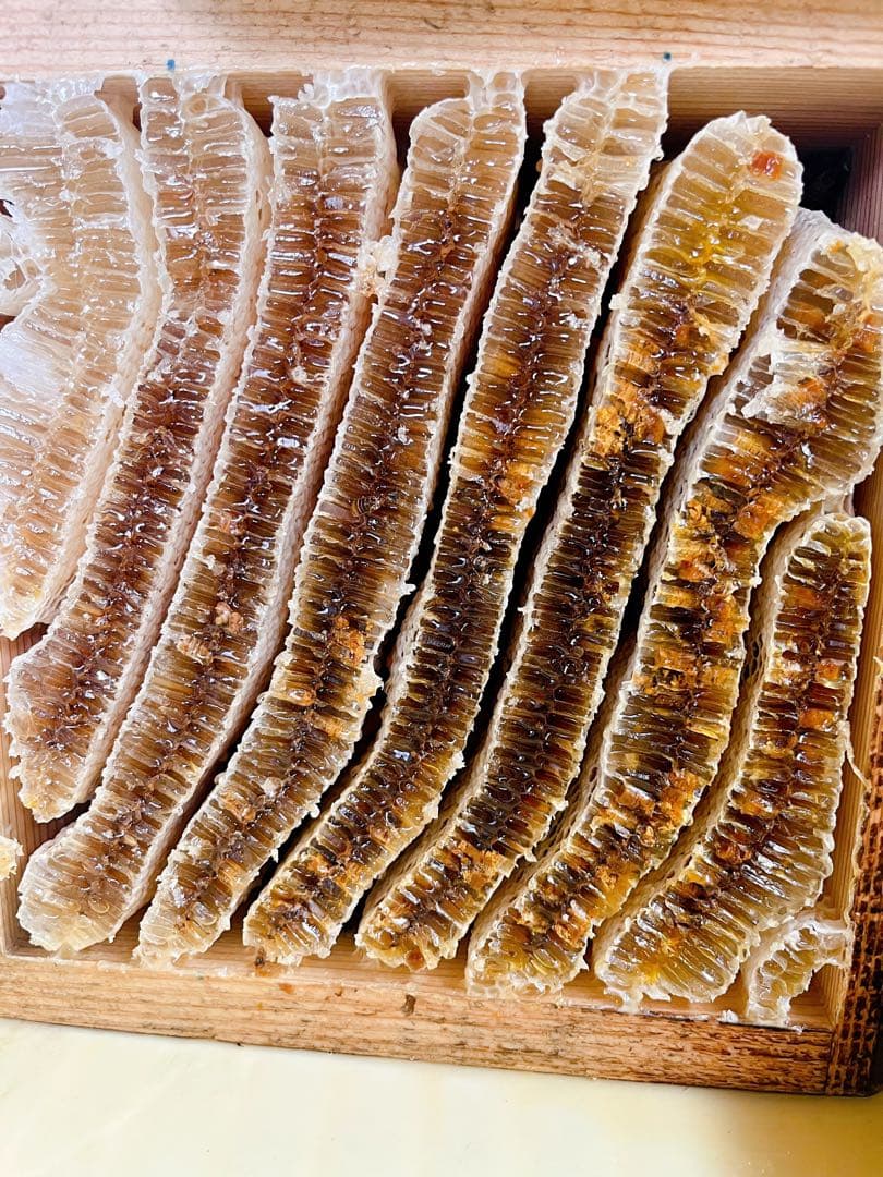 クマ様　日本蜜蜂　はちみつ　3種セット　900g