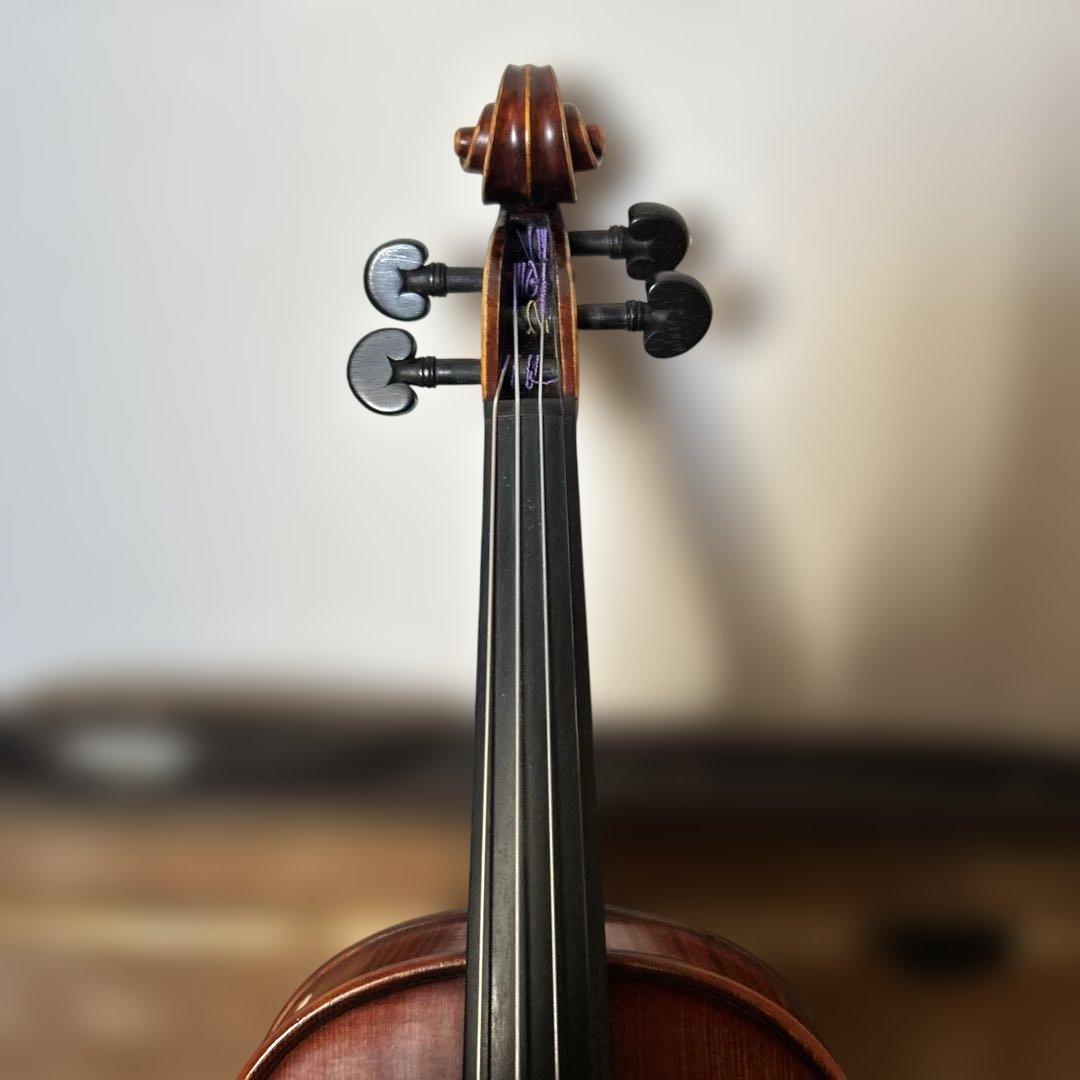 Gliga GAMA super バイオリン 1/2