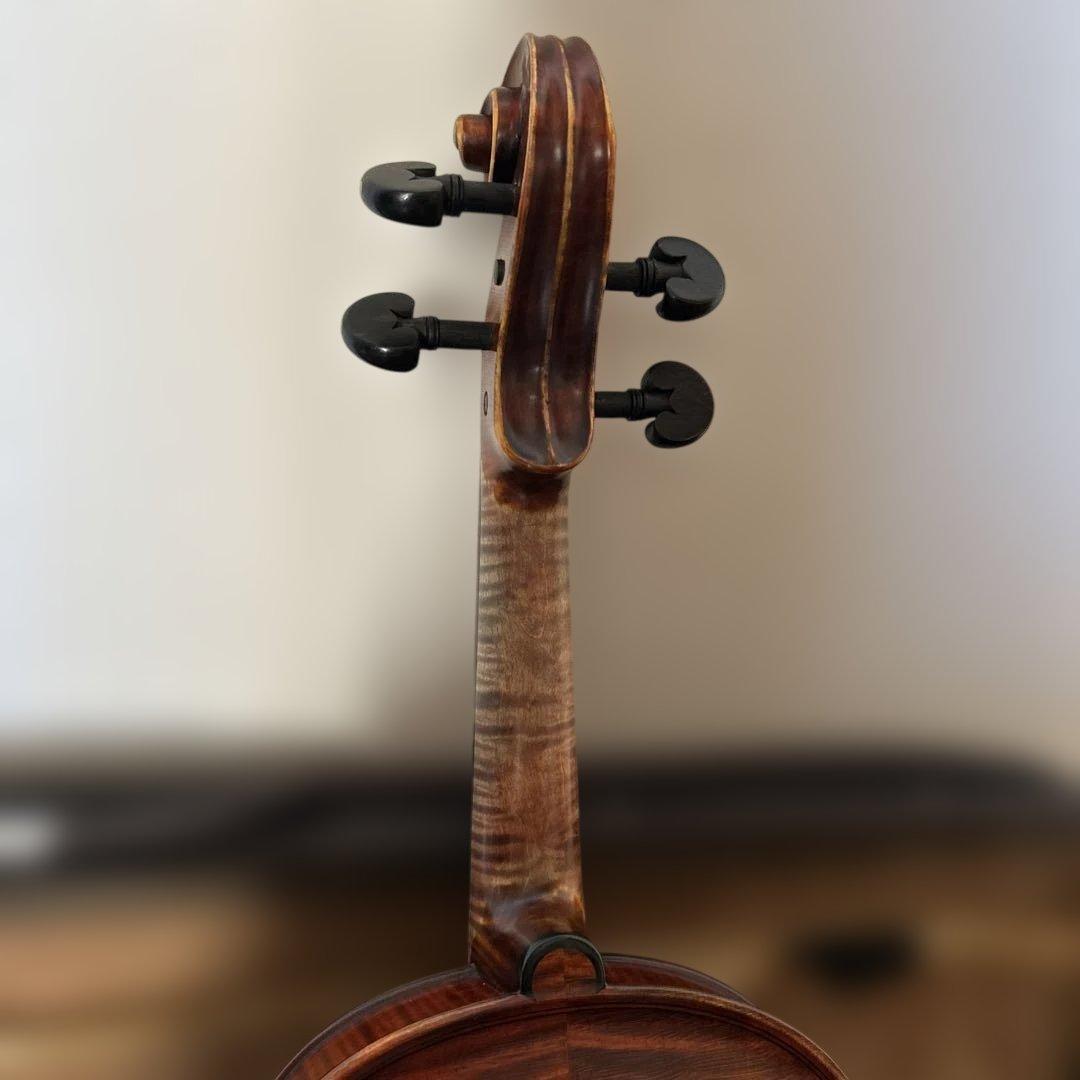 Gliga GAMA super バイオリン 1/2