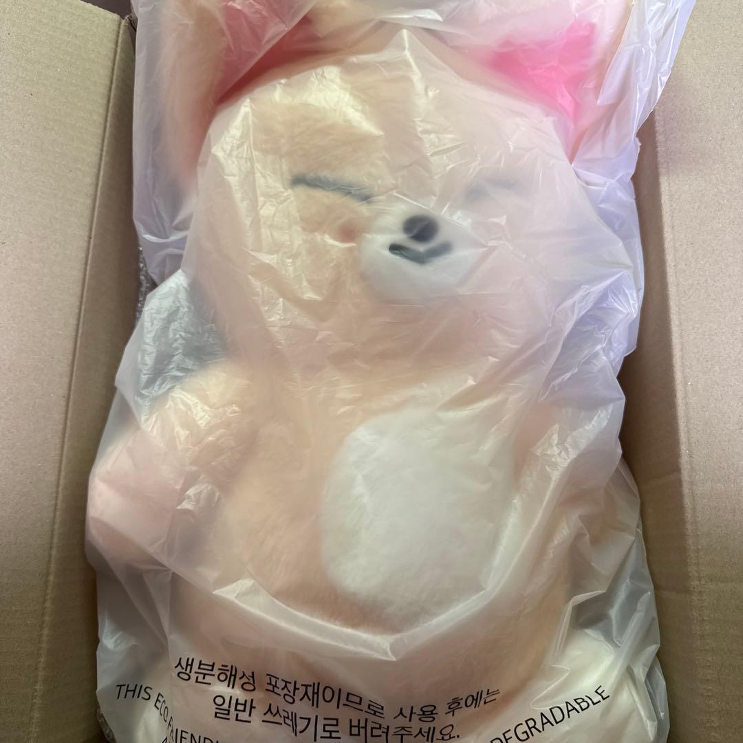 straykids skzoo テディベア　フォクシニー　5clock