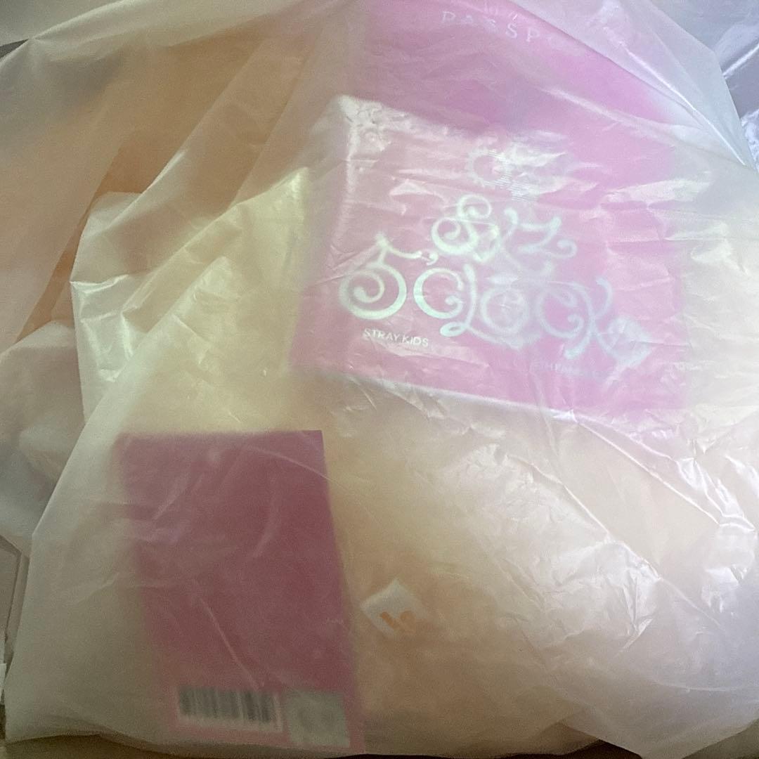 straykids skzoo テディベア　フォクシニー　5clock