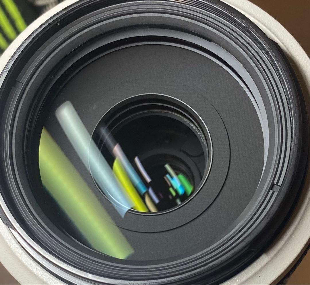 Canon EF70-300mm F4-5.6L IS USM(フィルター付き)