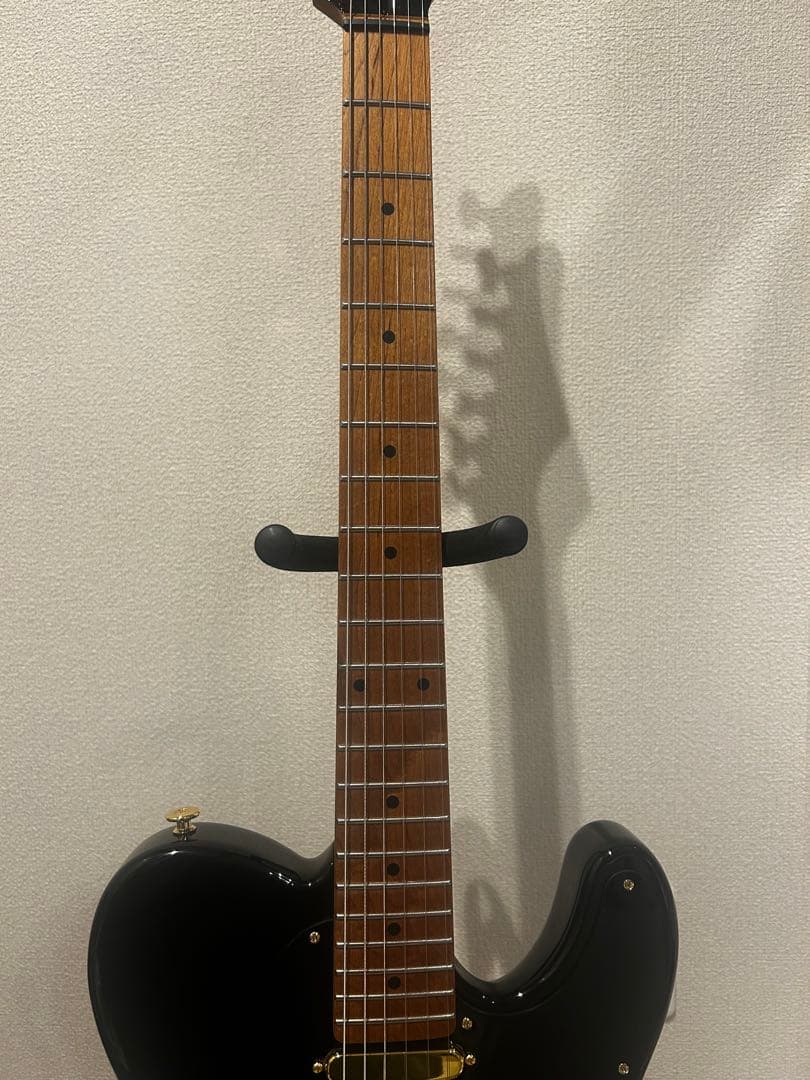 Bacchus BTE-1DX RSM MOD テレキャスター suhr