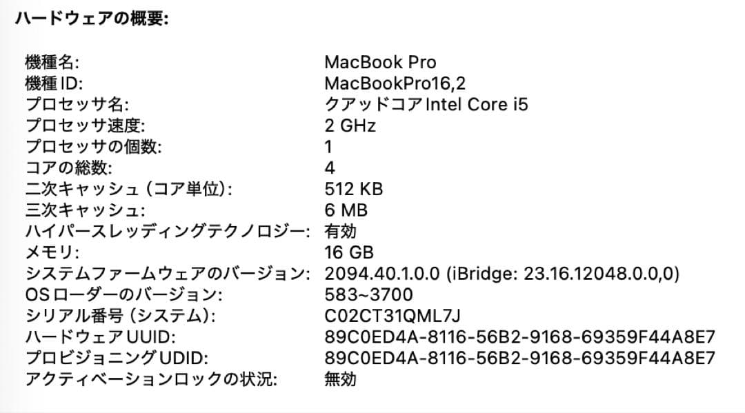 MacBook本体 MacBook Pro 13inch i5 16G 1TB