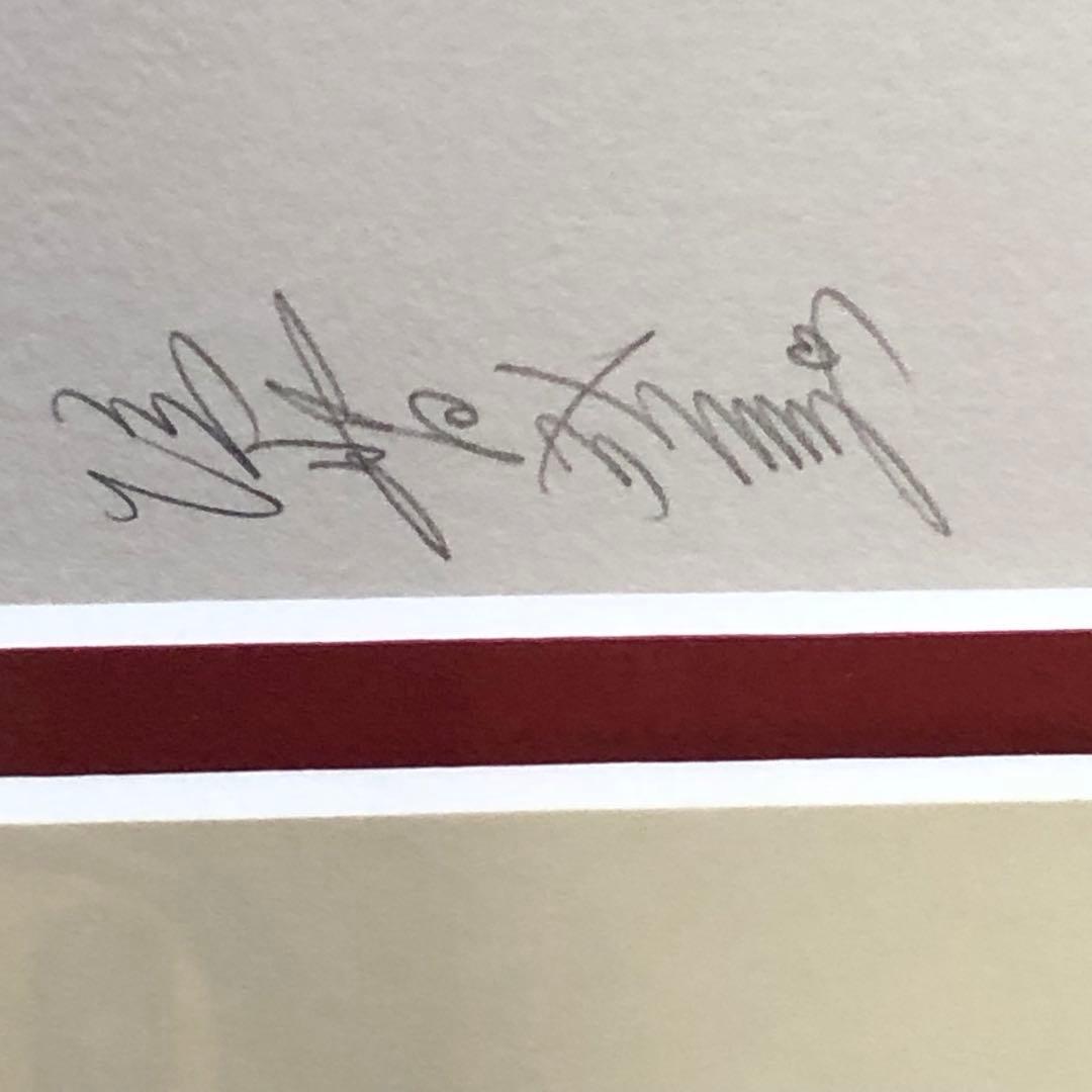 垣野内成美 リトグラフ 燐花〜吸血姫美夕 直筆サイン 限定150枚 アニメ 漫画