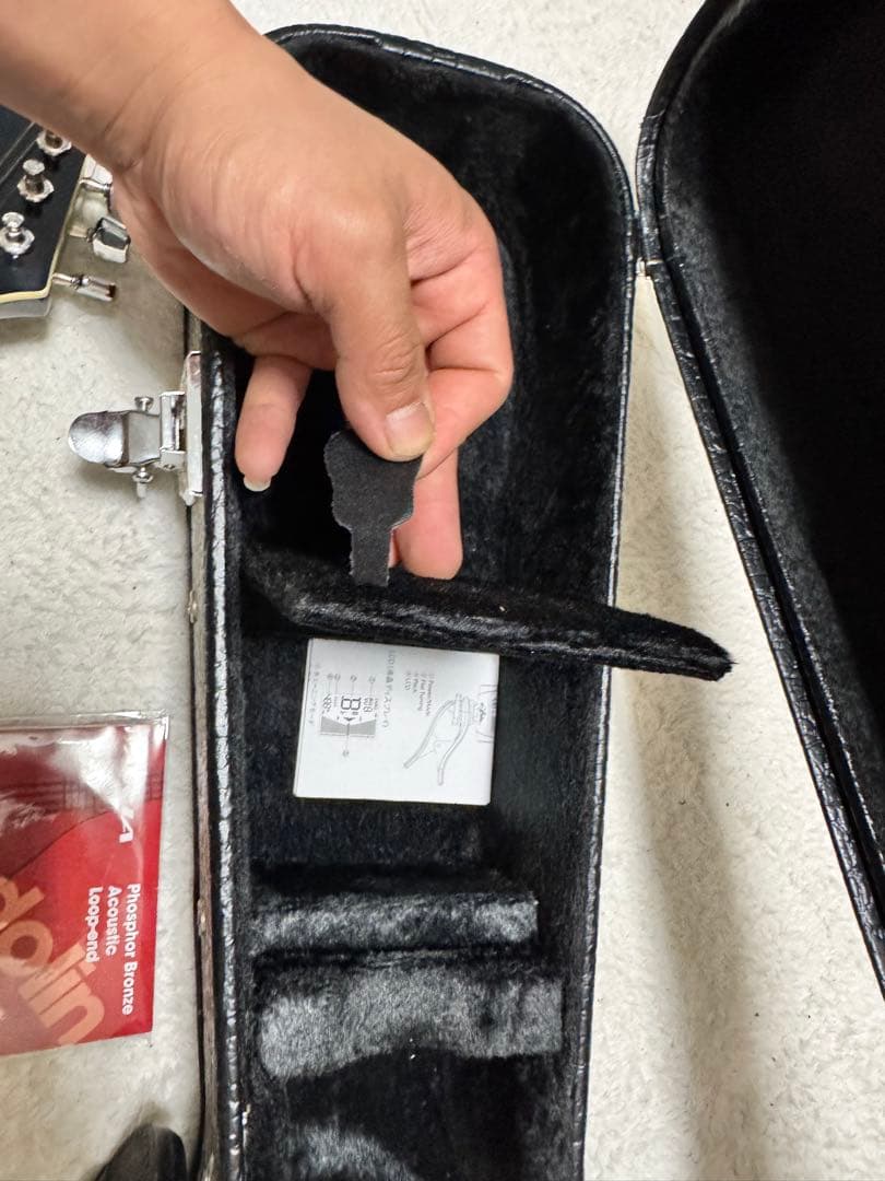 【超美品】Aria AM-20 フラットマンドリン超美品　専用ハードケース 楽器