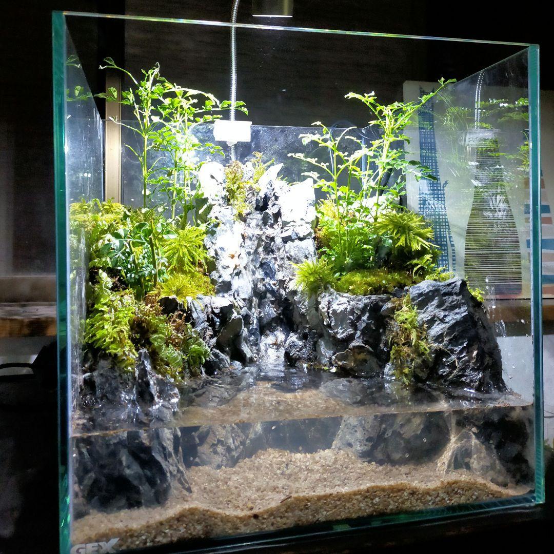 滝の流れるアクアテラリウム　たつ