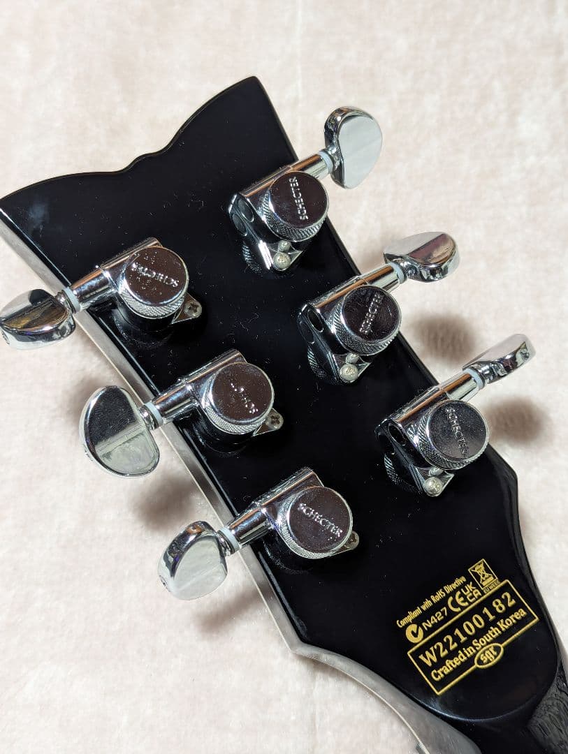 K*a様 SCHECTER シェクター SOLO-ⅱ CUSTOM GNAT