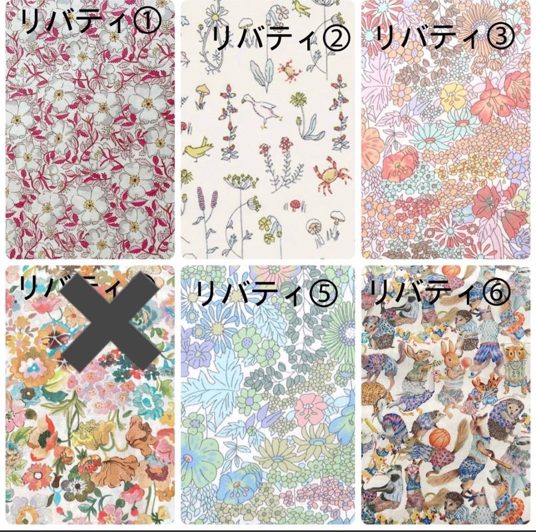 しーちきんページエヴリンtpmサイズバッグインバッグ