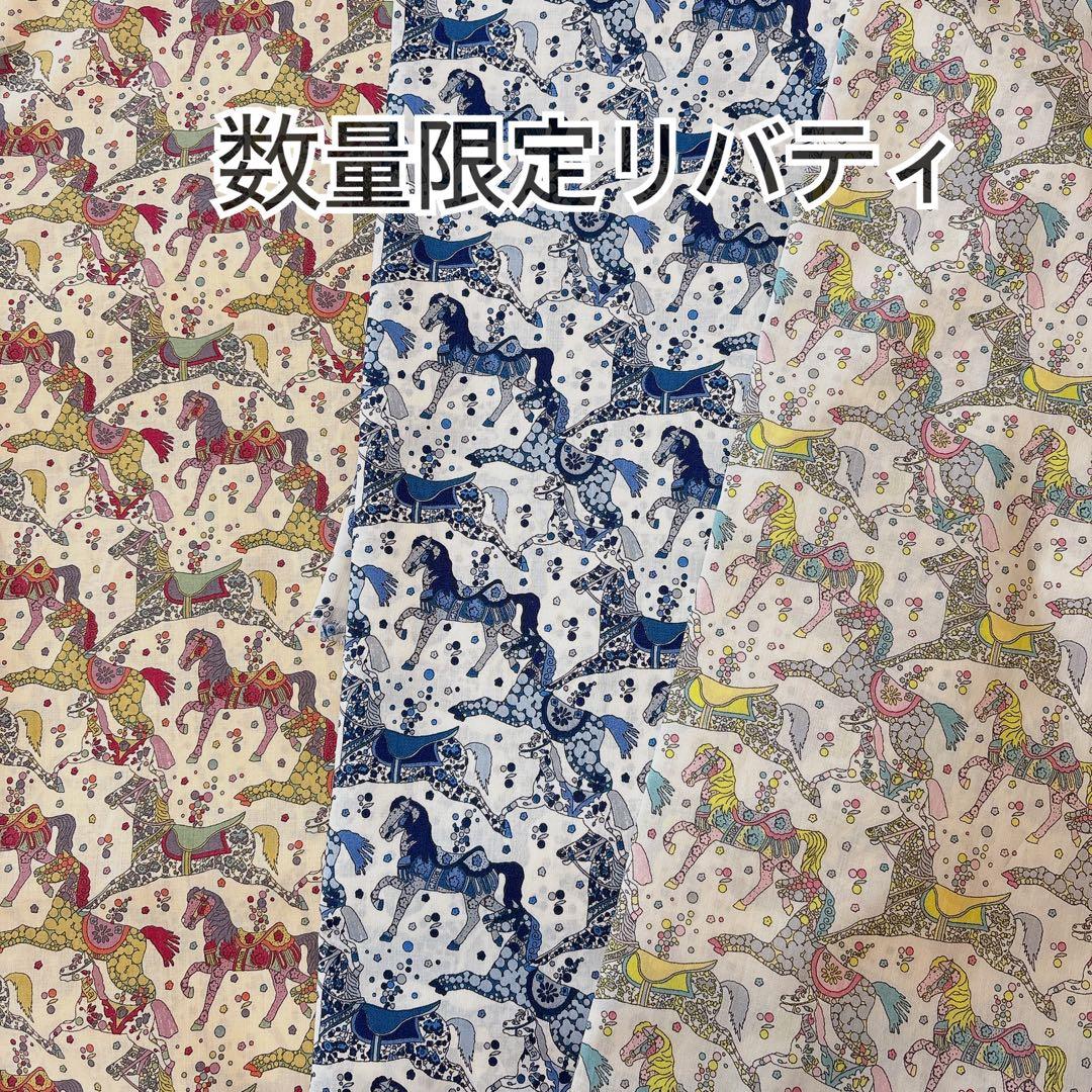 しーちきんページエヴリンtpmサイズバッグインバッグ