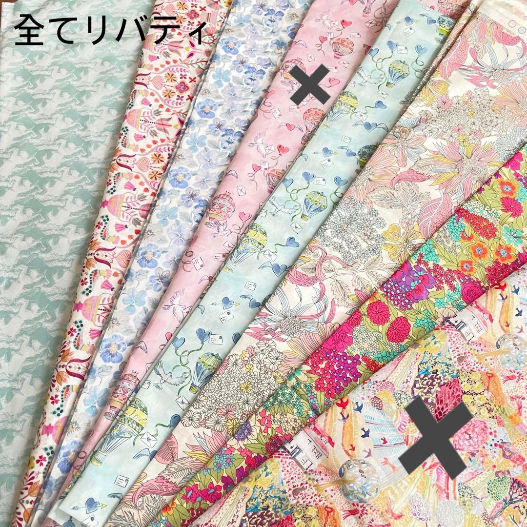 しーちきんページエヴリンtpmサイズバッグインバッグ