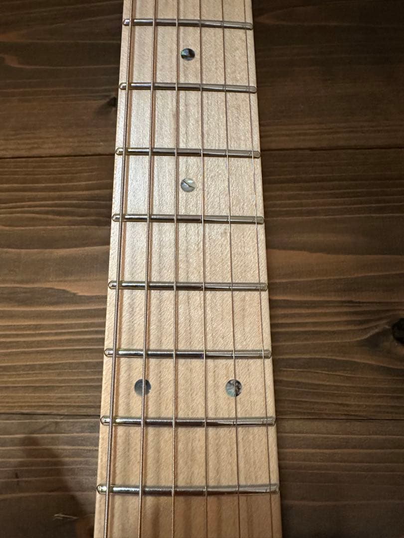 FUJIGEN EOS 2021年製 最終値下げ