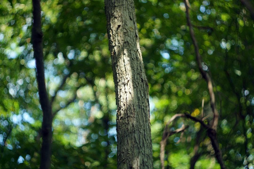 23　新品同様　HELIOSヘリオス　44-2ぐるぐるボケレンズフード付