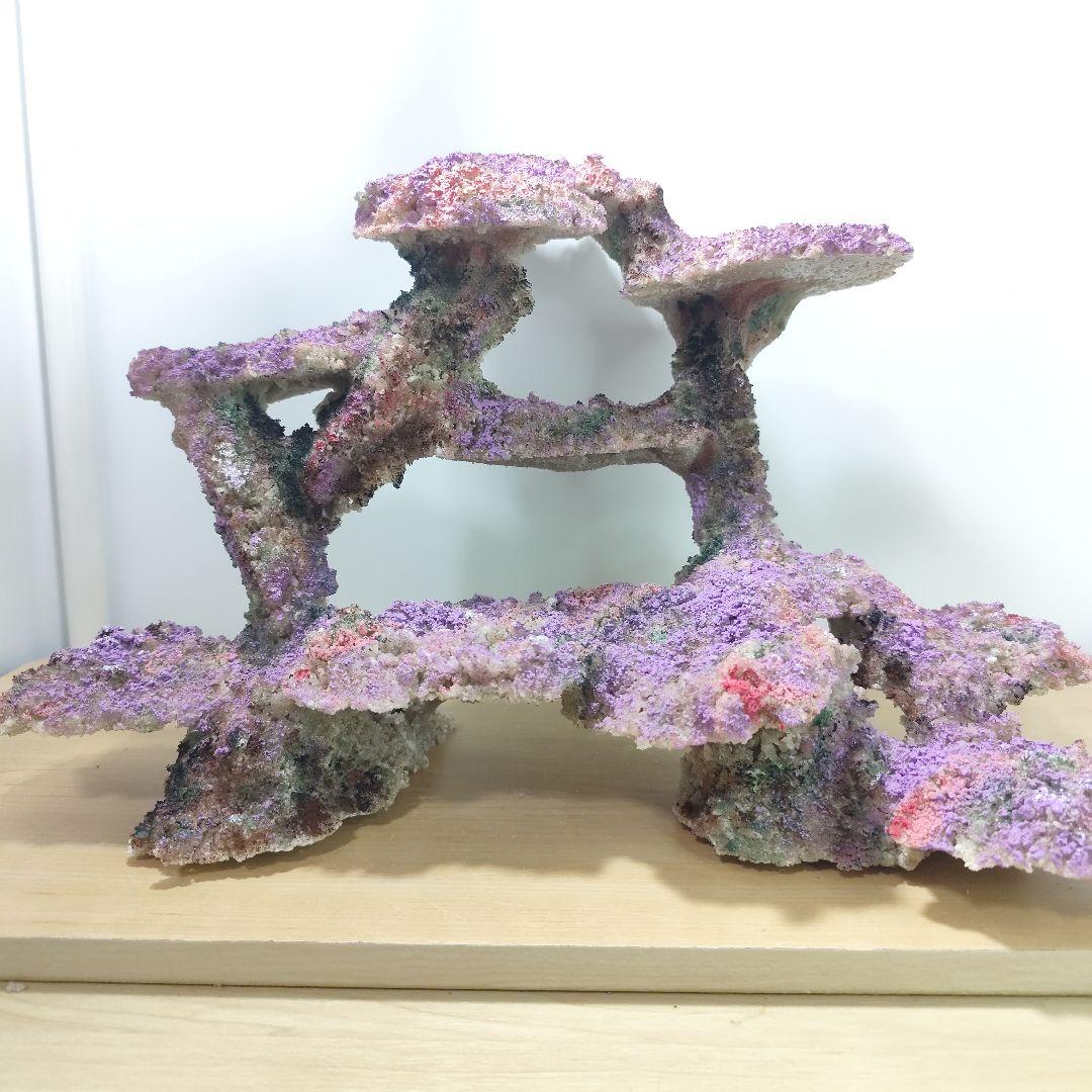 ❖新品アク抜き不要 人工ライブロック 60cm海水水槽用 レプリカ 多孔質安い2