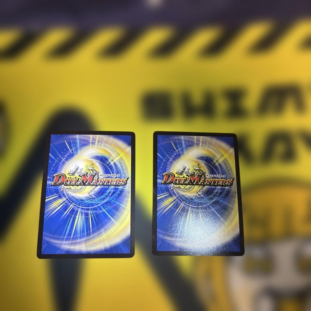 パーフェクトペテンシーシークレット2枚セット