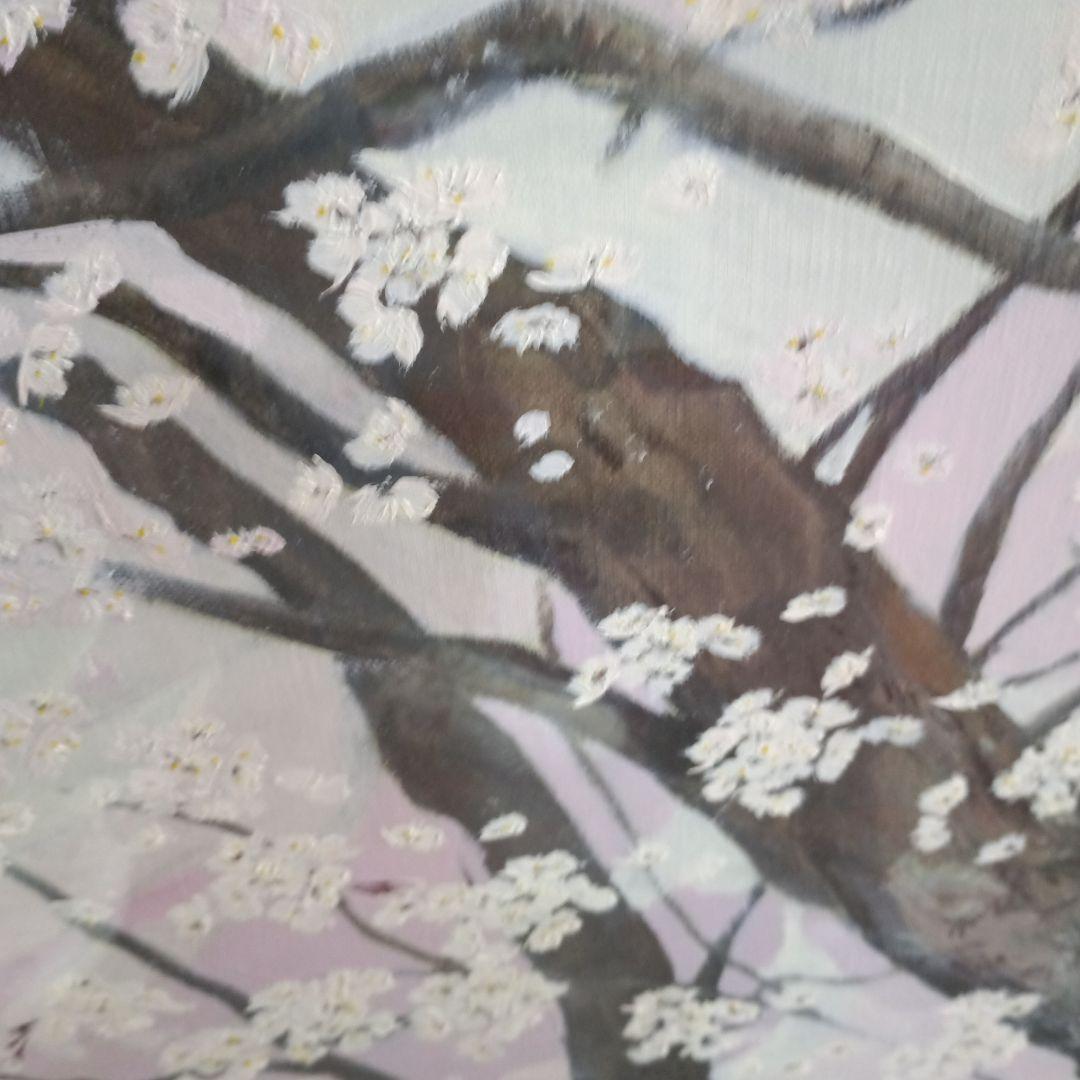 さくらの女流大家　川島眞佐　石部桜　M50号油彩　希少