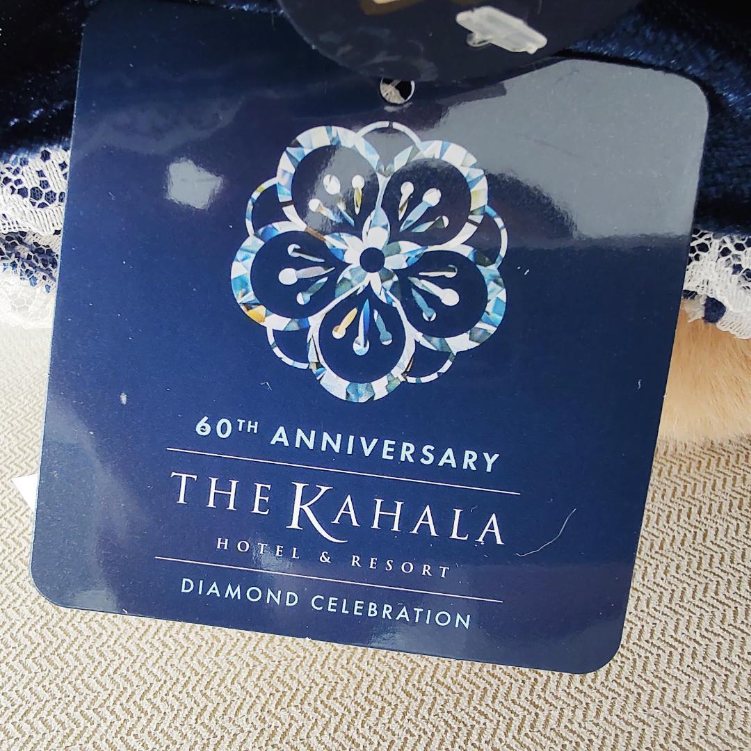 レア 新品 日焼けキティ ぬいぐるみ カハラホテル 60周年 ハワイ 限定