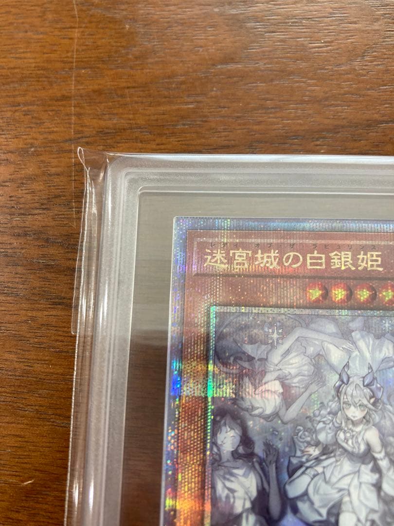 迷宮城の白銀姫 25th ars10+