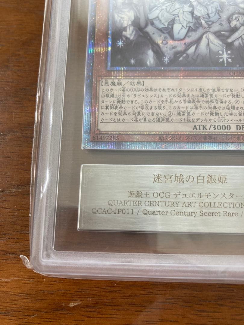 迷宮城の白銀姫 25th ars10+