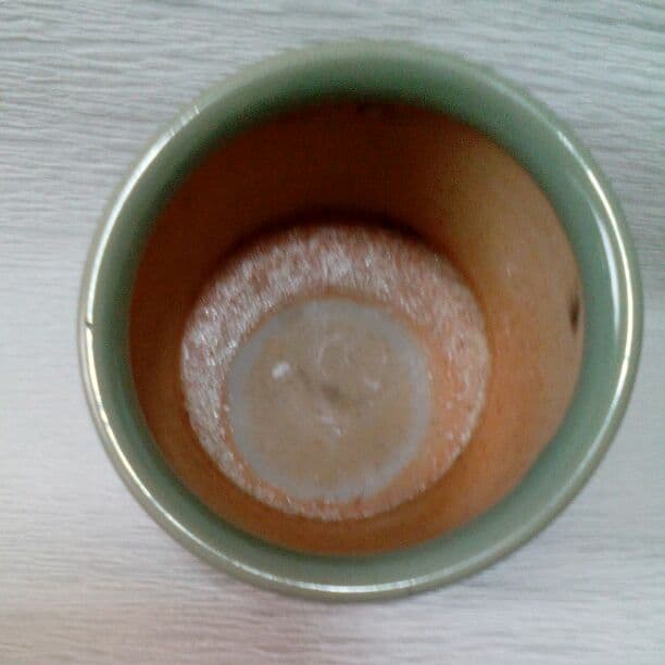 青磁　雲亀図　手焙　美品　　古三田青磁